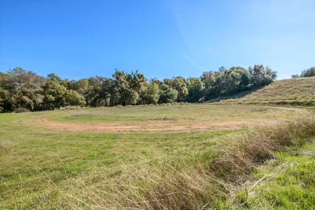 a backyard of a house with lots of green space