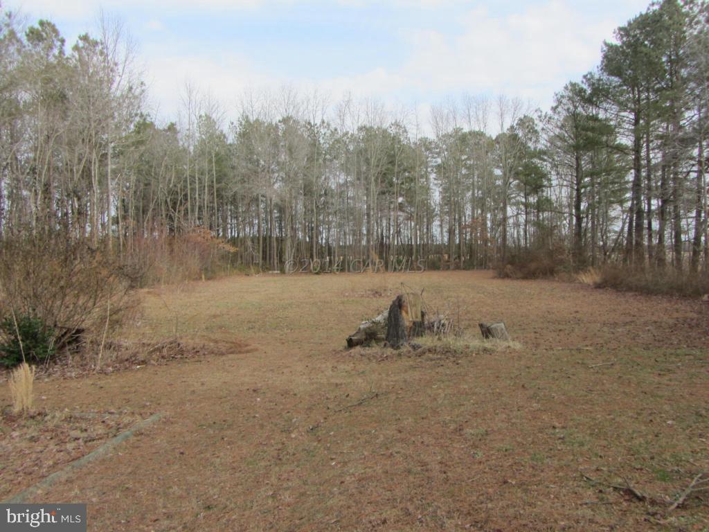 7050 Stevens Road Eden, MD 21822 - Photo 4 of 13 Gallery Image 4