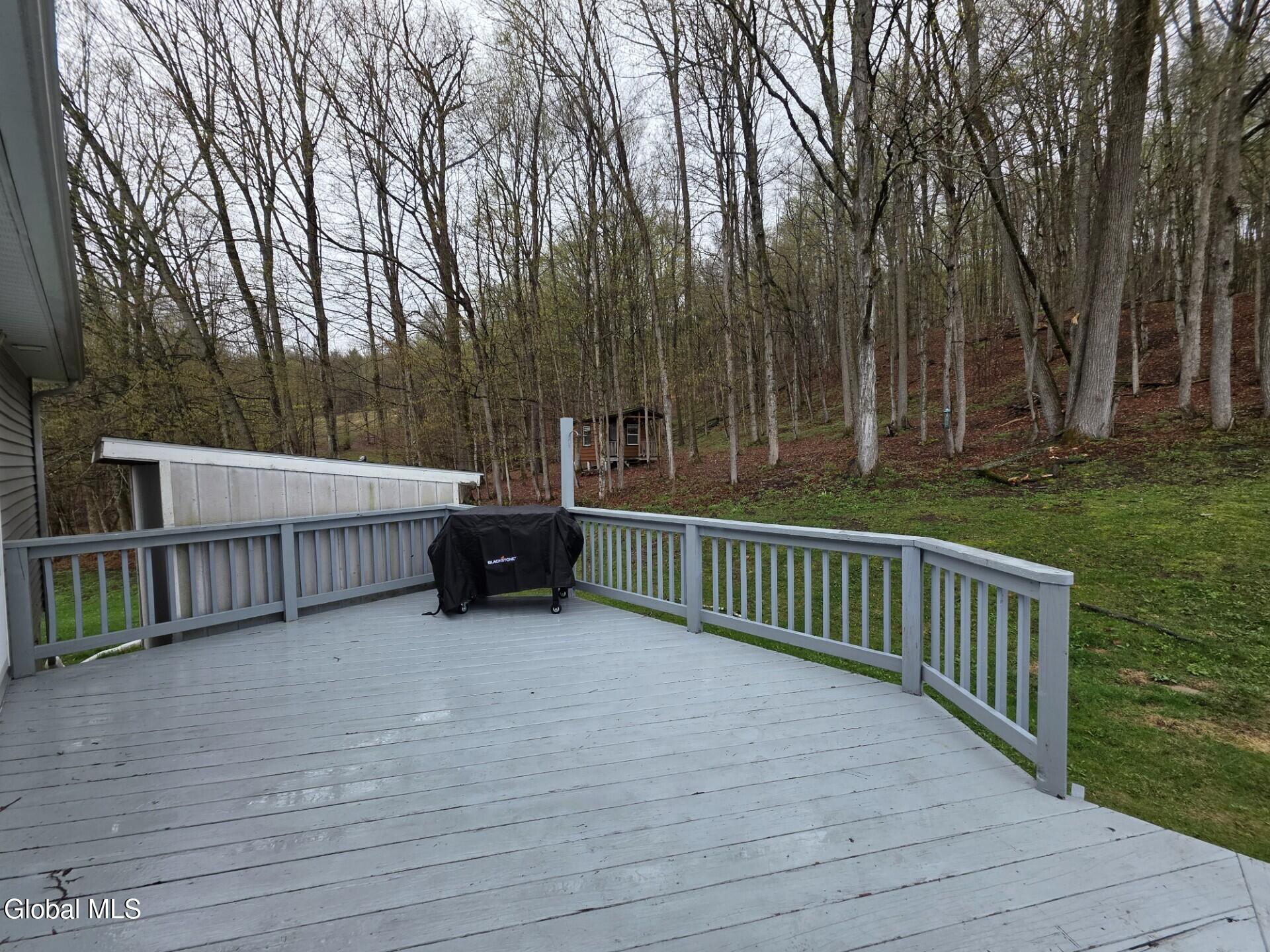 1067 Ravine Road Berne, NY 12023 - Photo 25 of 30 Back Deck_2