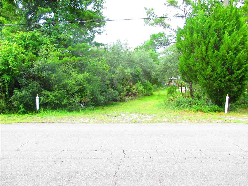 1991 Lighthouse Road Carrabelle, FL 32322 - Photo 1 of 1 Gallery Image 1