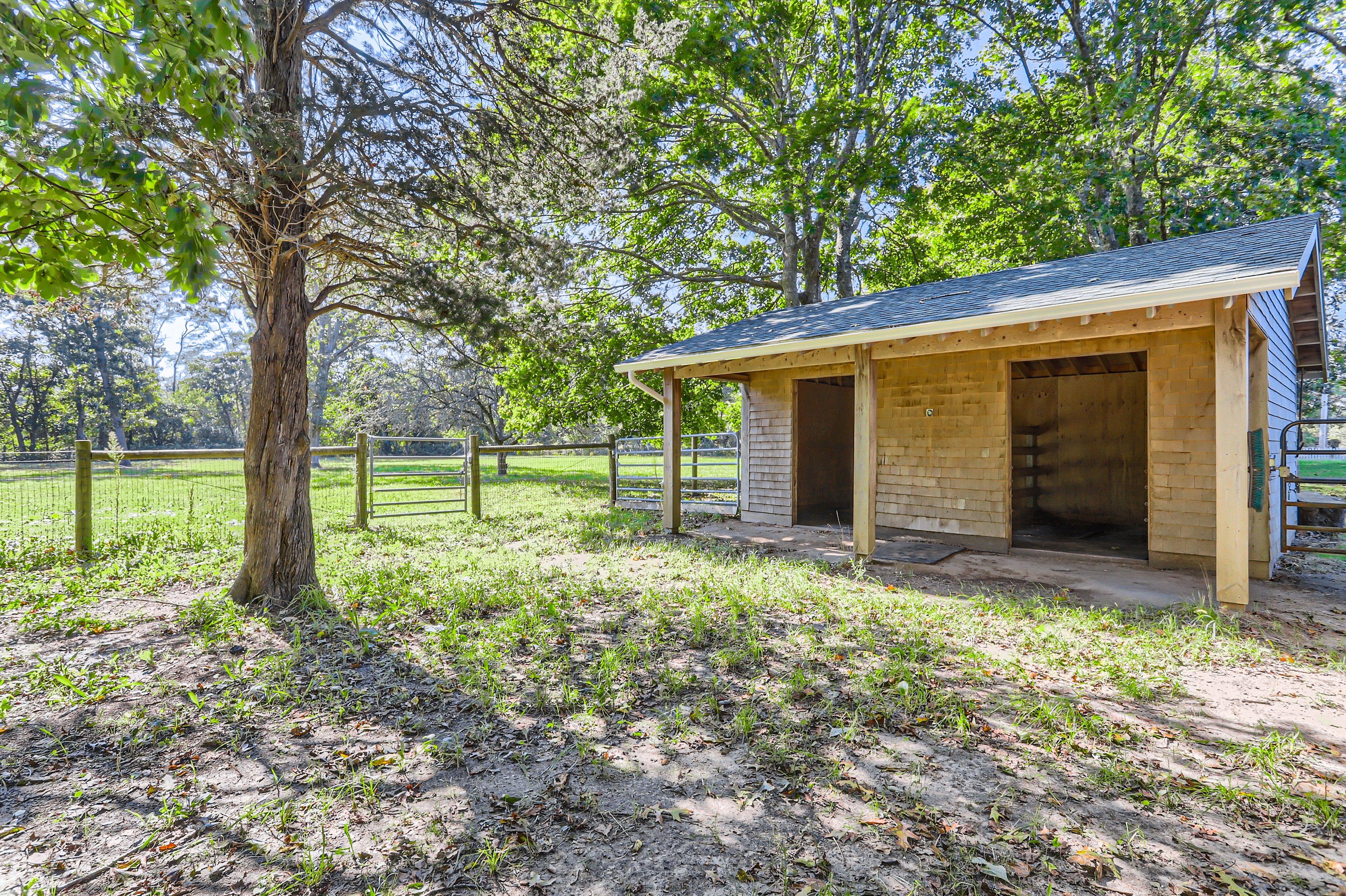 16 S Road Chilmark, MA 02535 - Photo 42 of 50 a backyard of a house with plants and large tree