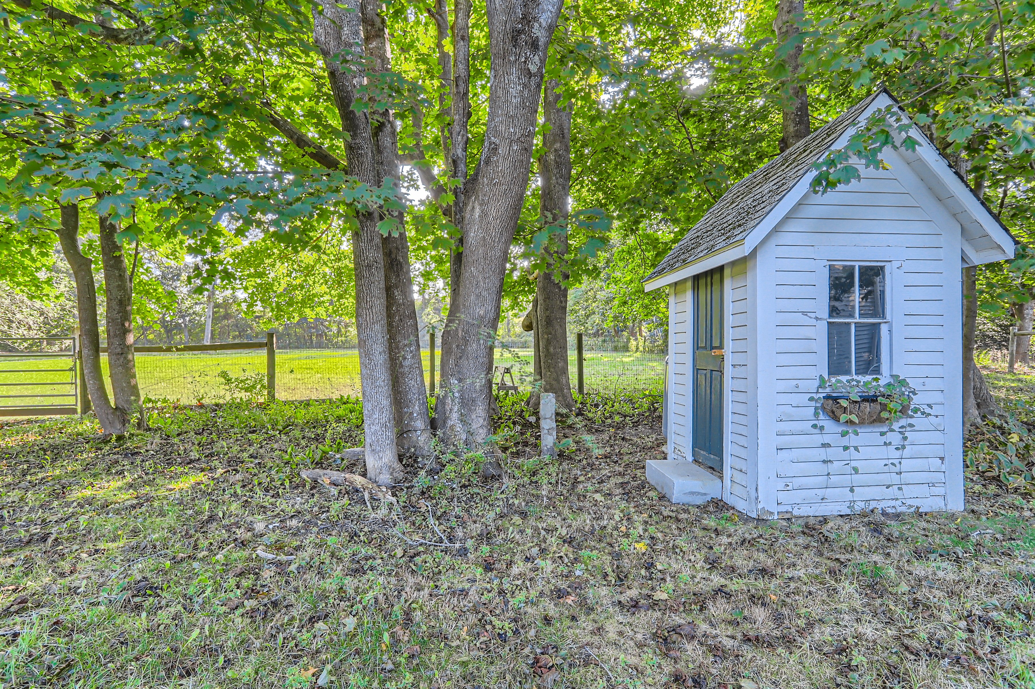 16 S Road Chilmark, MA 02535 - Photo 46 of 50 a view of a house with backyard and trees