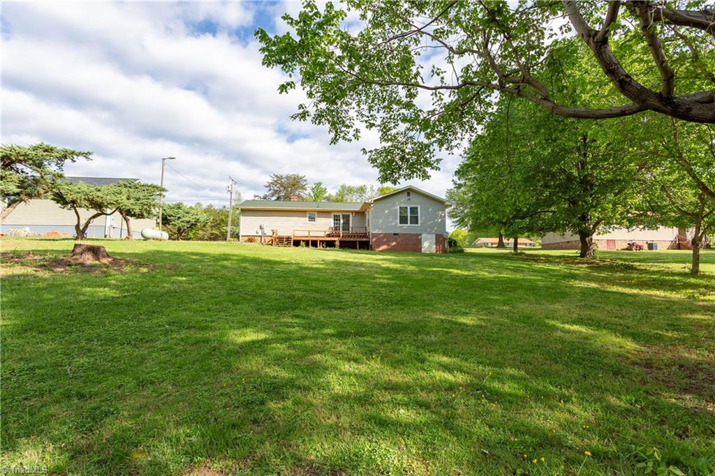7340 Highway 700 Ruffin, NC 27326 - Photo 29 of 30 Full Backyard View