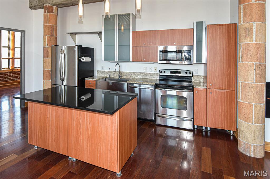 2207 Washington Avenue, Unit 510 St. Louis, MO 63103 - Photo 8 of 34