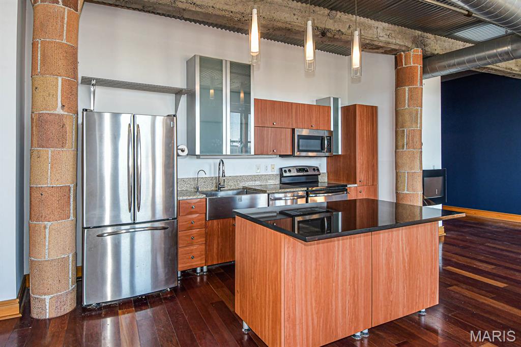 2207 Washington Avenue, Unit 510 St. Louis, MO 63103 - Photo 10 of 34