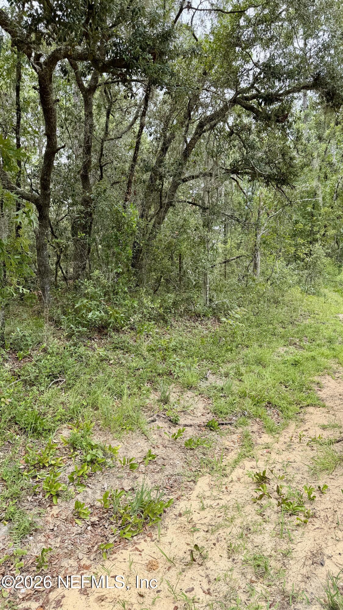 41 Cousintown Road Interlachen, FL 32148 - Photo 5 of 5 0041 Cousintown Rd, Interlachen, FL