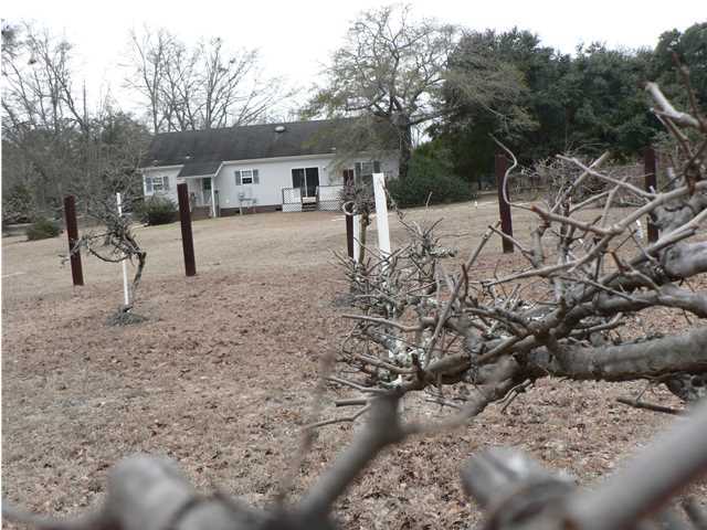 586 Phillips Road Walterboro, SC 29488 - Photo 14 of 15 Additional Photo