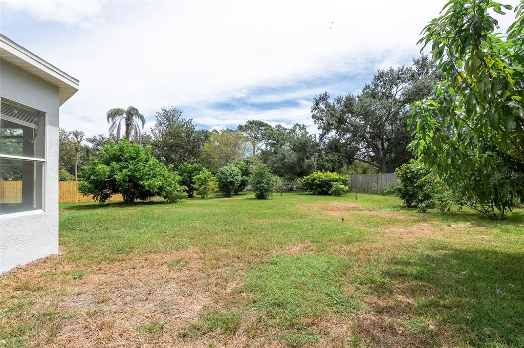 2306 Colusa Lane Valrico, FL 33596 - Photo 48 of 50 a view of a field with trees in the background