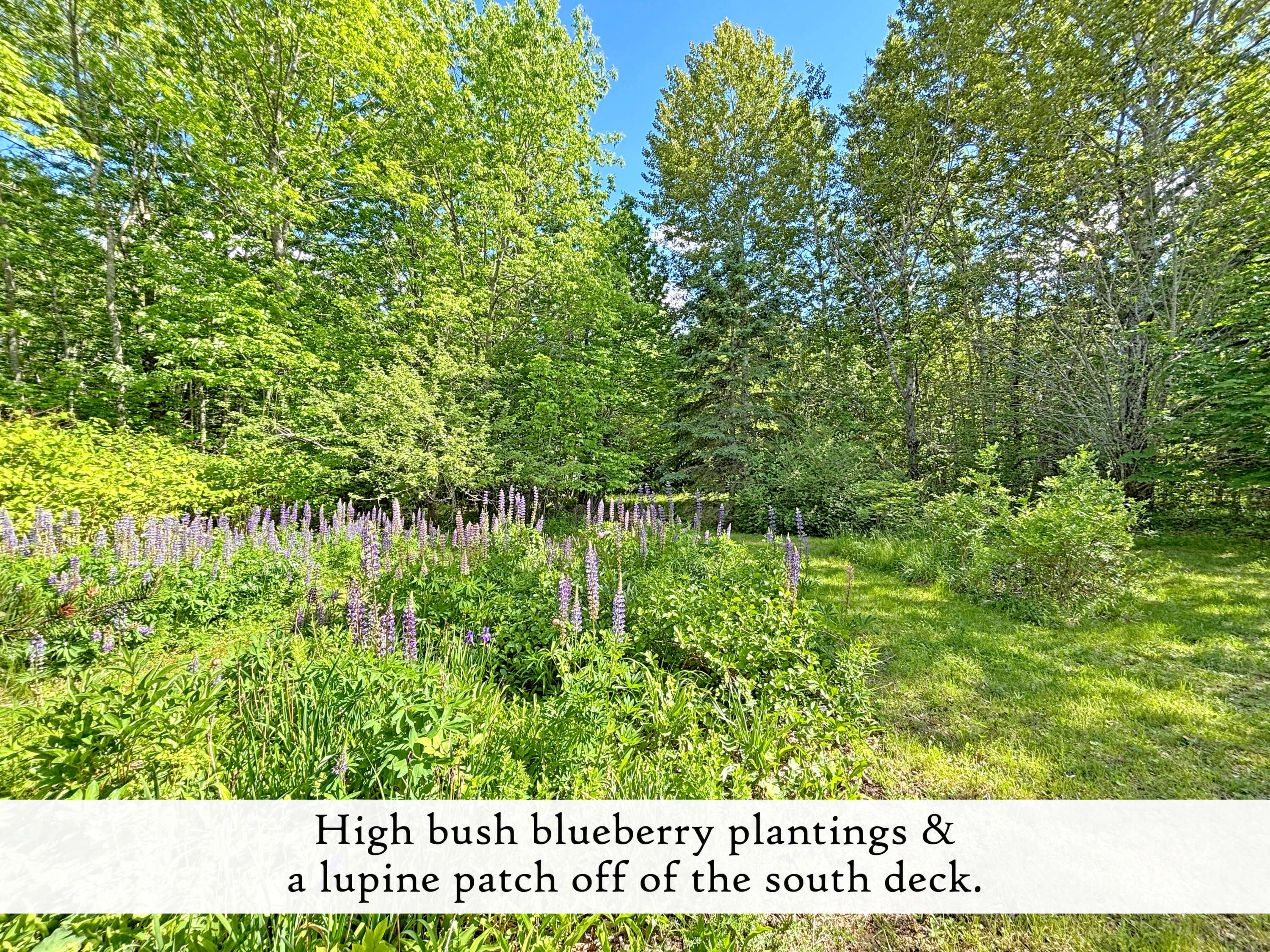 1778 Bayside Road Trenton, ME 04605 - Photo 102 of 113 Grounds (8), label