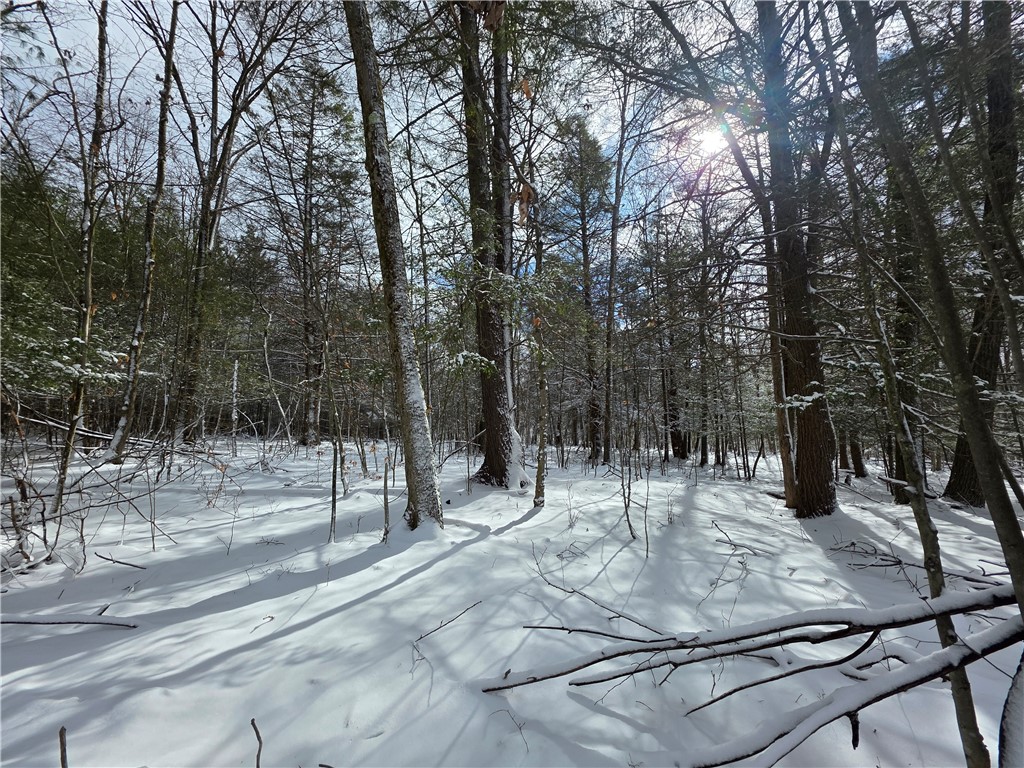 4679 Cook Road Woodhull, NY 14898 - Photo 20 of 50