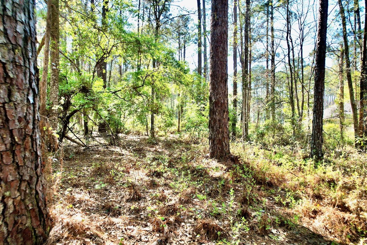 0 Amber Valley Road Tallahassee, FL 32312 - Photo 33 of 38 Gallery Image 33