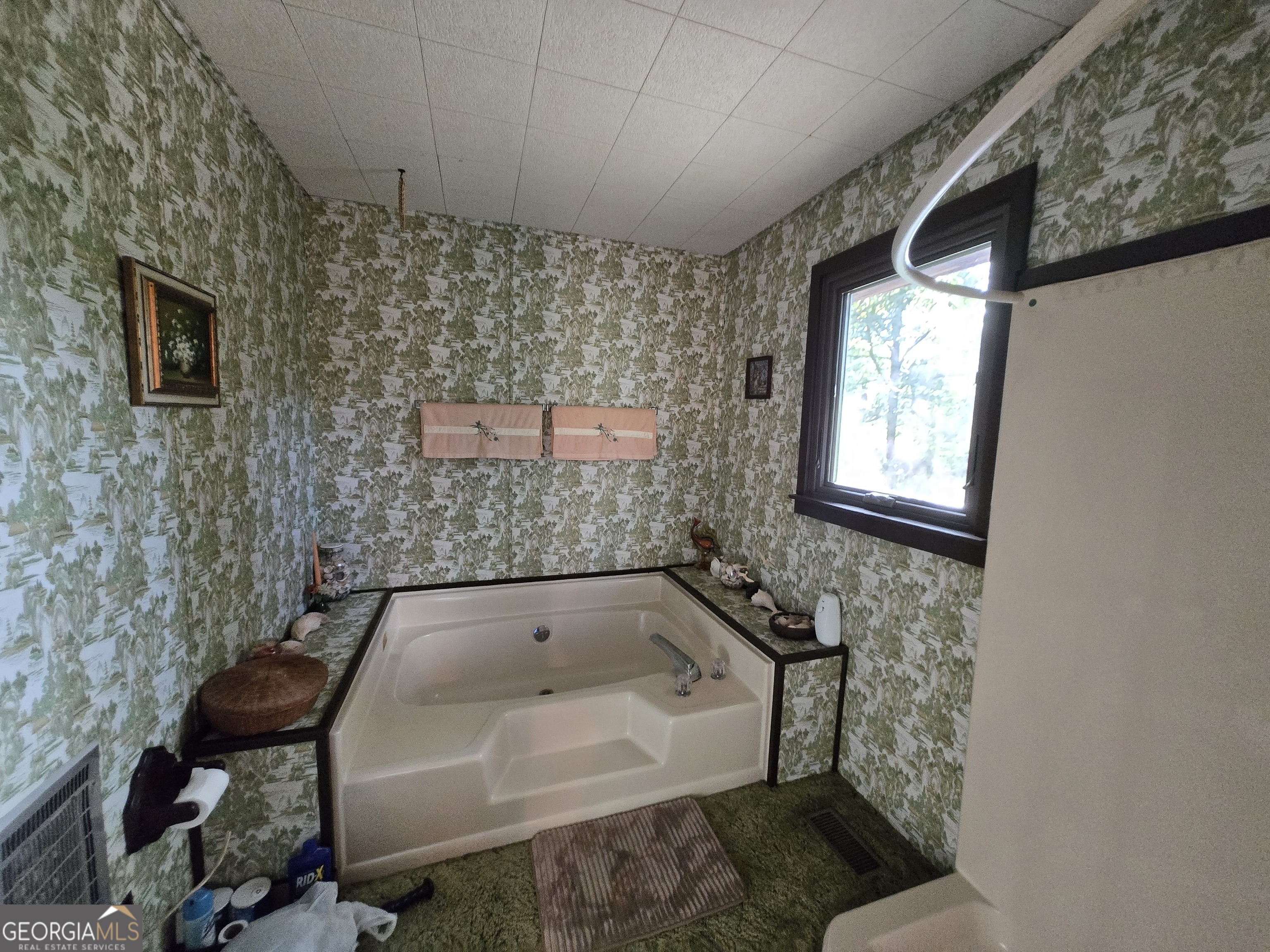 56 April Lane Chauncey, GA 31011 - Photo 32 of 79 Gallery Image 32