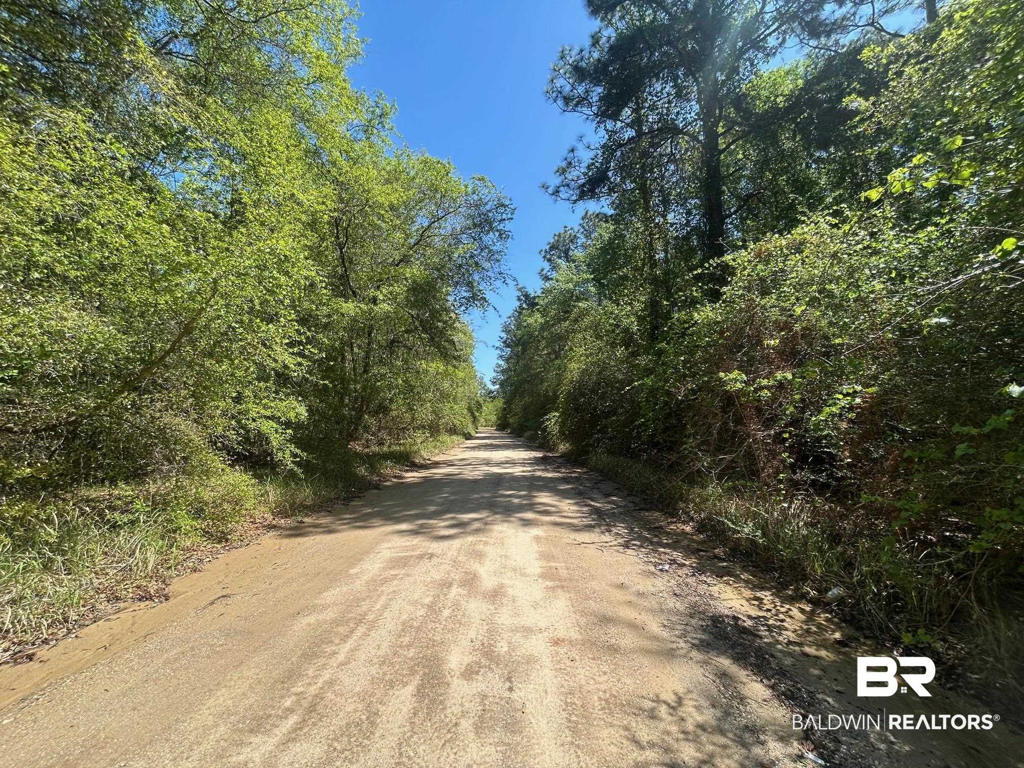 0 I-65 Service Road Creola, AL 36525 - Photo 17 of 20 View of road