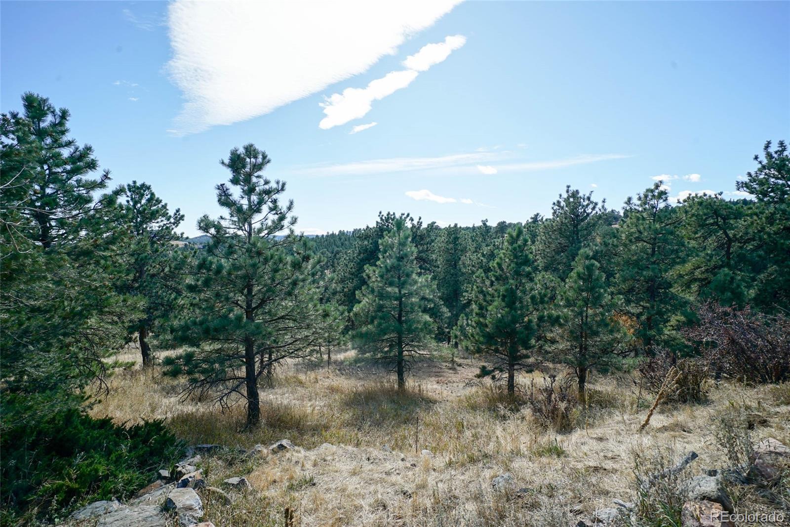 21888 Crestmoor Road Golden, CO 80401 - Photo 38 of 40 Gallery Image 38