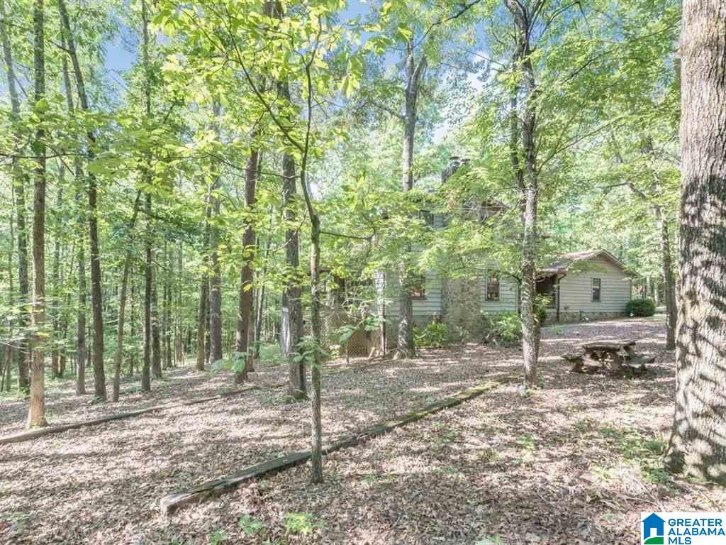 22461 Rosser Lane McCalla, AL 35111 - Photo 21 of 33