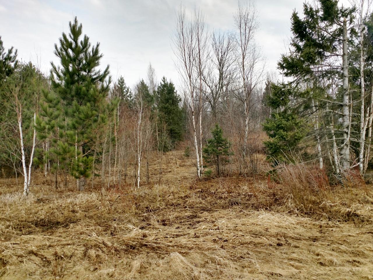 W3598 Nyberg-Hill Road Prentice, WI 54556 - Photo 11 of 24 Gallery Image 11