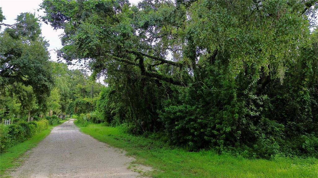 0 Th New Port New Port Richey, FL 34654 - Photo 1 of 1 Gallery Image 1