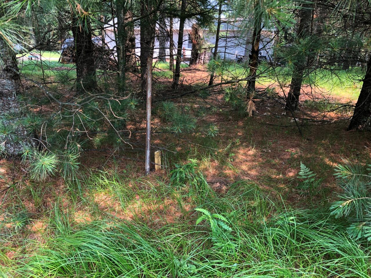 6 Beaver Trail Eagle River, WI 54521 - Photo 25 of 30 Gallery Image 25