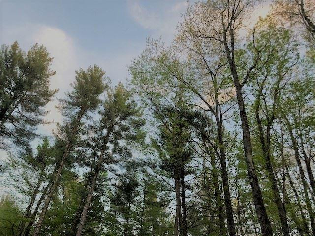2 Sand Spurrey Road Malta, NY 12020 - Photo 42 of 87 Photo 43
