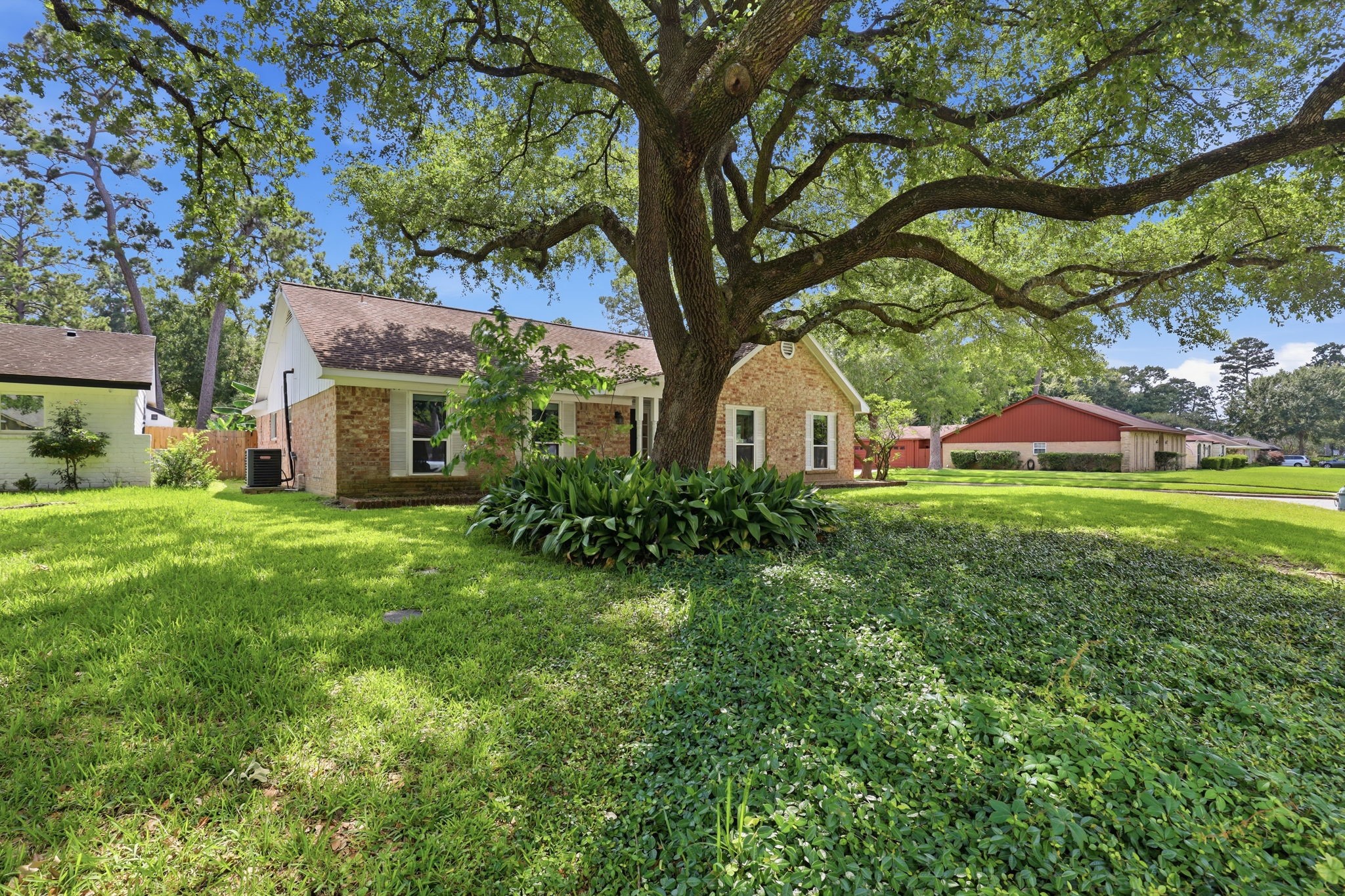 25415 Friar Lake Lane Spring, TX 77373 - Photo 27 of 29 Majestic Mature Oaks Enhance the Landscape