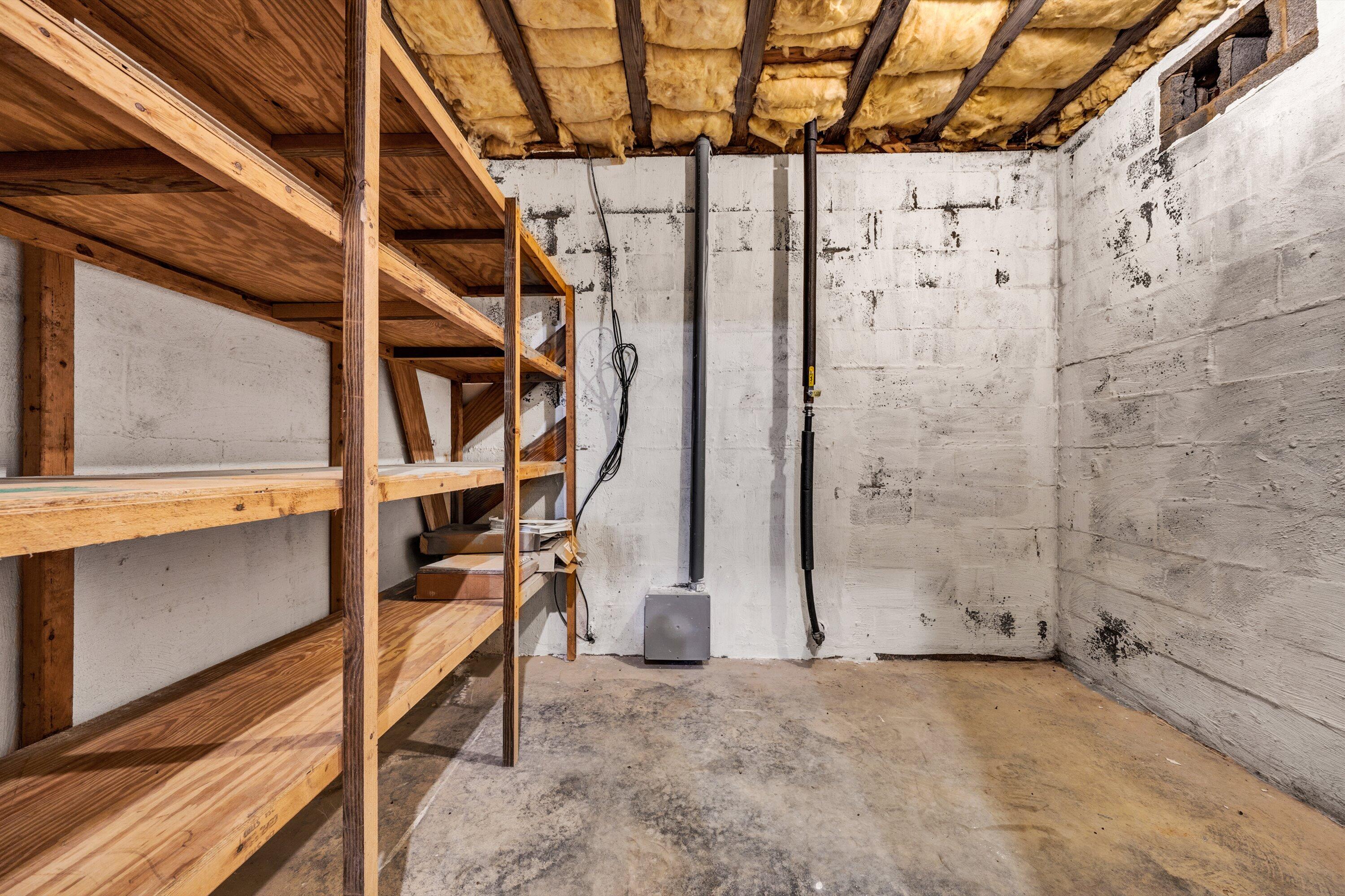 922 West Wind Road Fincastle, VA 24090 - Photo 76 of 85 76-Basement Storage 2