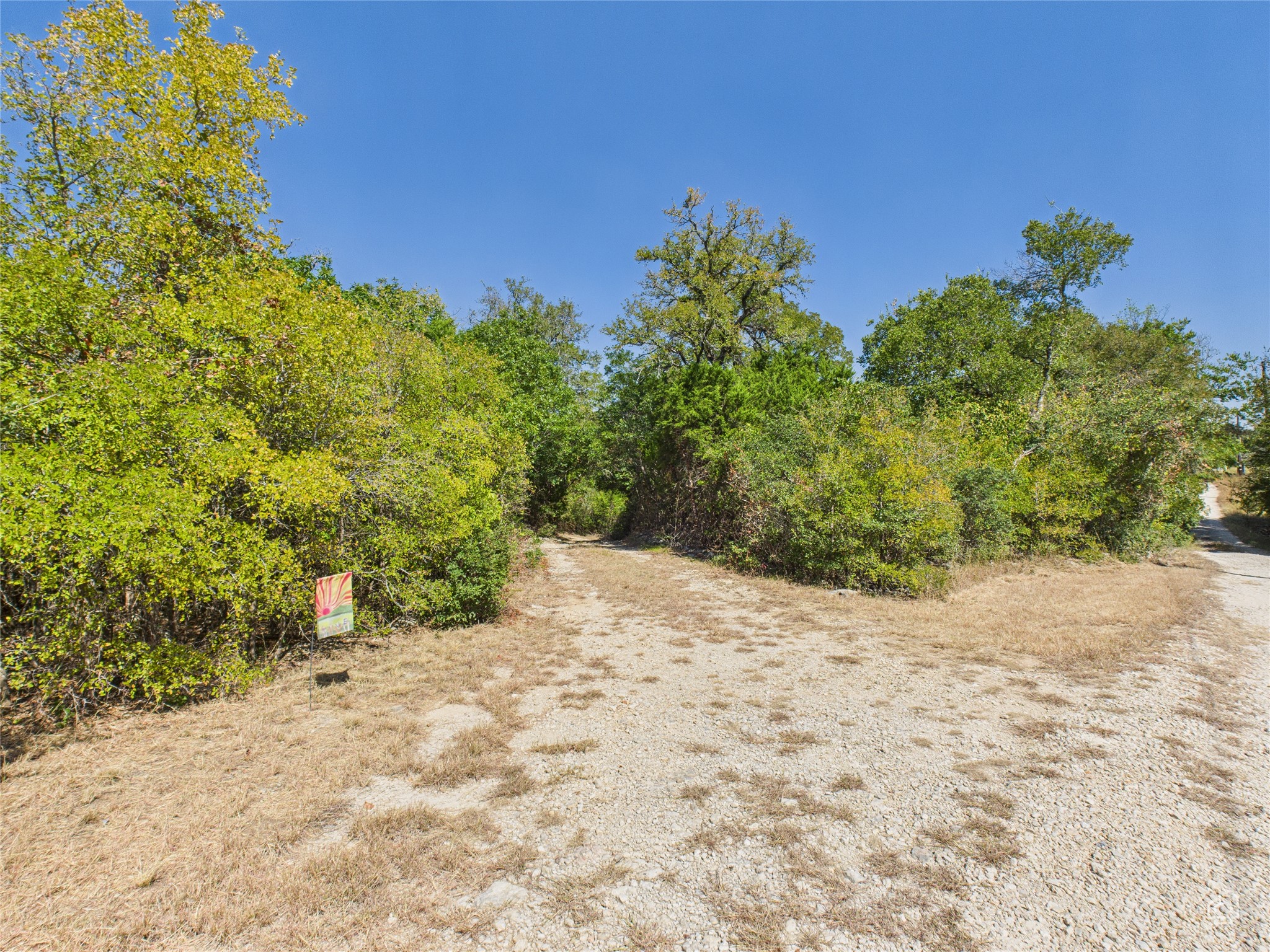 451 High Gabriel East Leander, TX 78641 - Photo 37 of 40 a view of a yard with plants and wooden fence