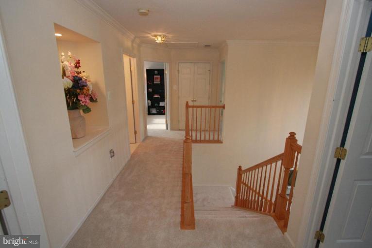 14212 Autumn Gold Road Boyds, MD 20841 - Photo 8 of 27 Hallway