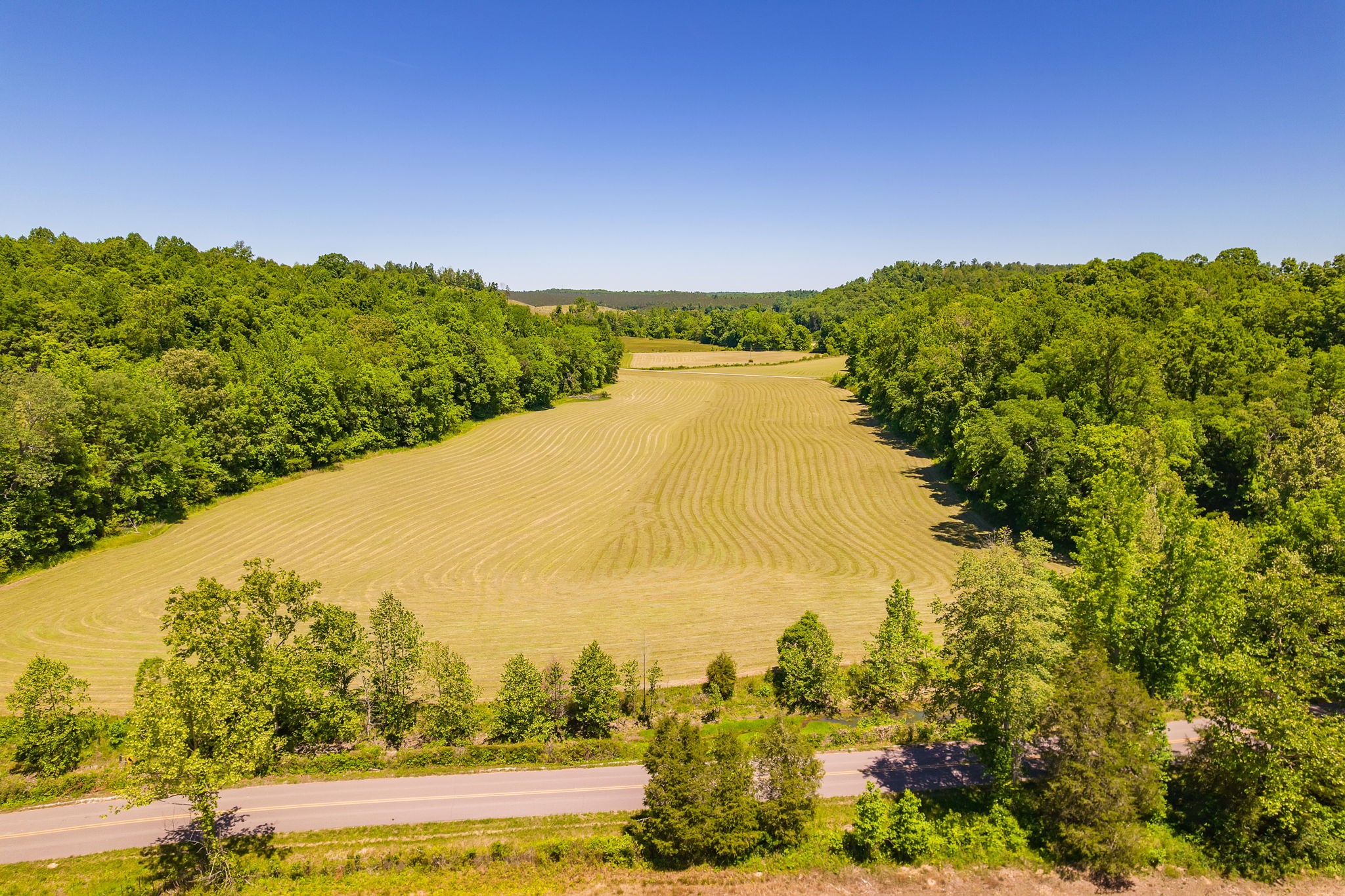 2119 Bunches Chapel Road Parsons, TN 38363 - Photo 1 of 7 a view of lake and mountain