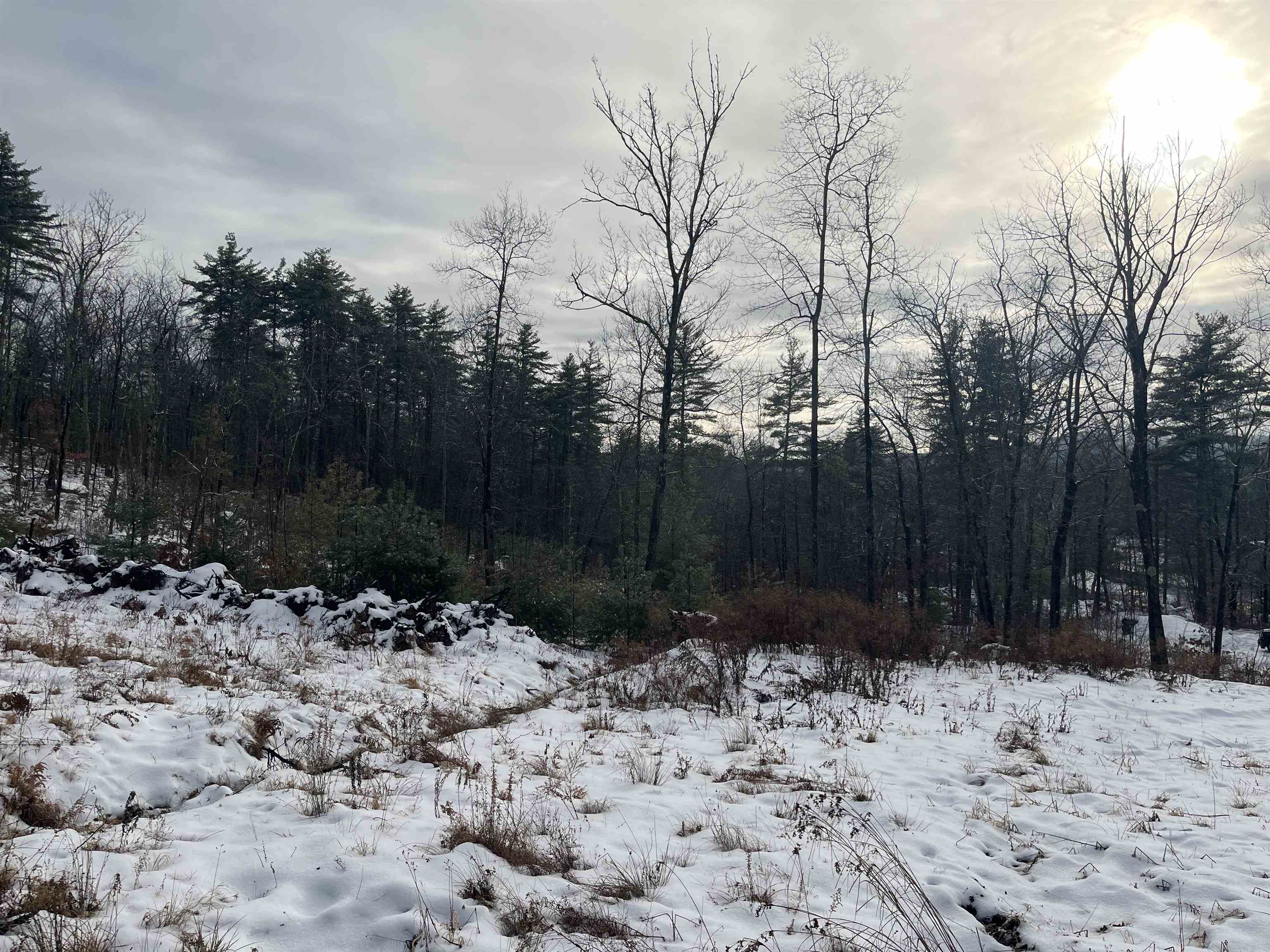 201 Rte 13 Brookline, NH 03033 - Photo 12 of 13
