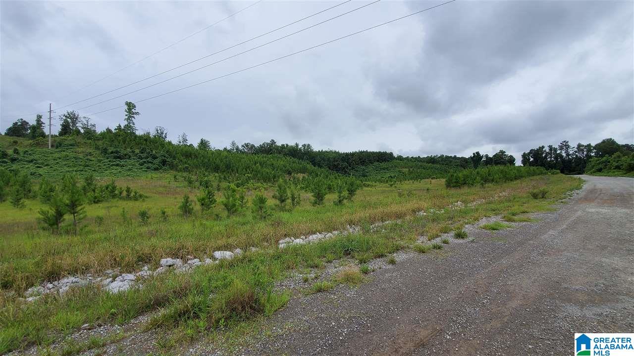 0 County Road 270 Montevallo, AL 35115 - Photo 5 of 9
