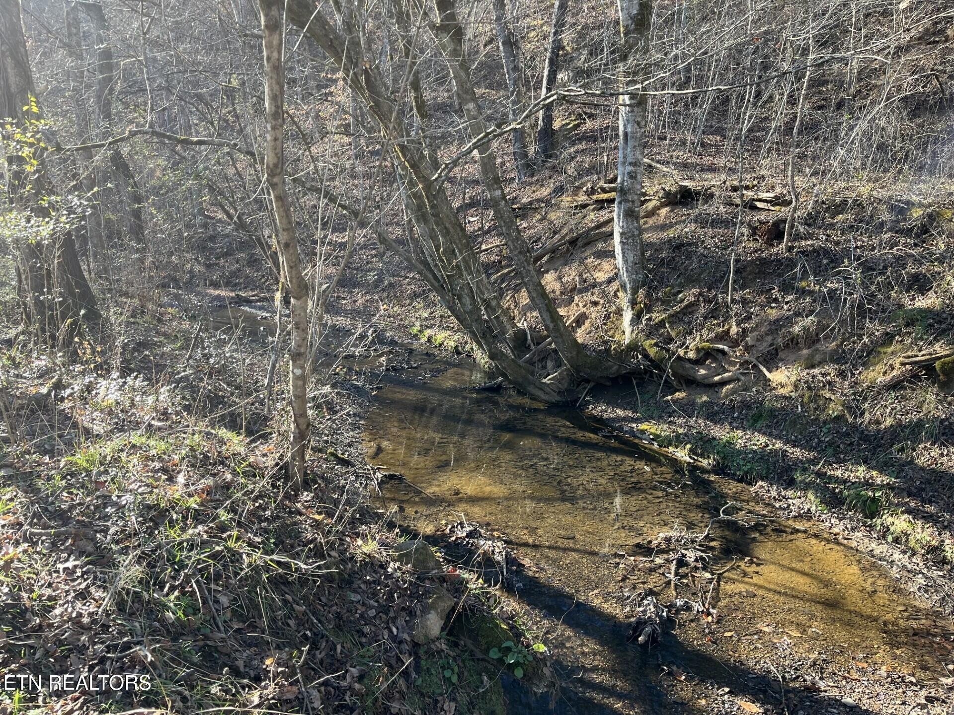 800 Middle Creek Road Cosby, TN 37722 - Photo 12 of 13 Gallery Image 12