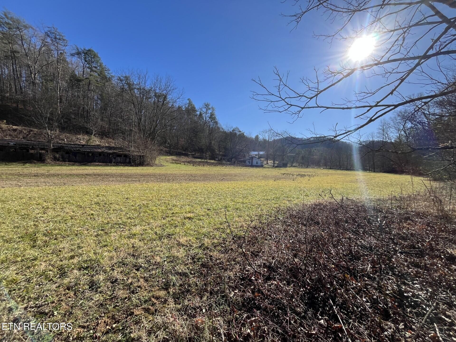 800 Middle Creek Road Cosby, TN 37722 - Photo 6 of 13 Gallery Image 6
