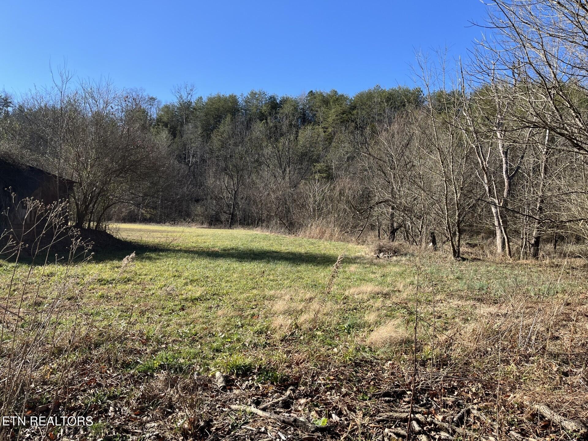 800 Middle Creek Road Cosby, TN 37722 - Photo 9 of 13 Gallery Image 9