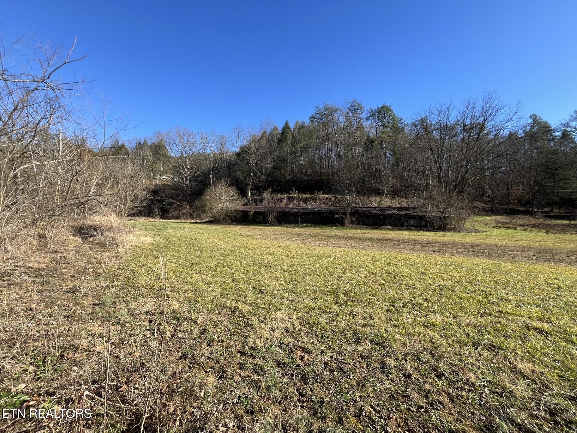 800 Middle Creek Road Cosby, TN 37722 - Photo 10 of 13 Gallery Image 10