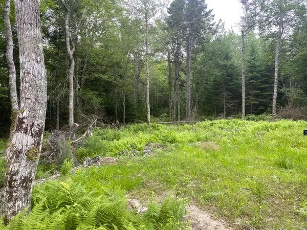 $99,000 | 53 Woodland Drive, Trenton, ME 04605