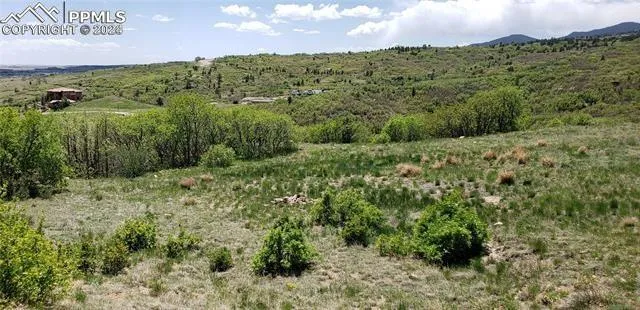 a view of a green field with lots of bushes