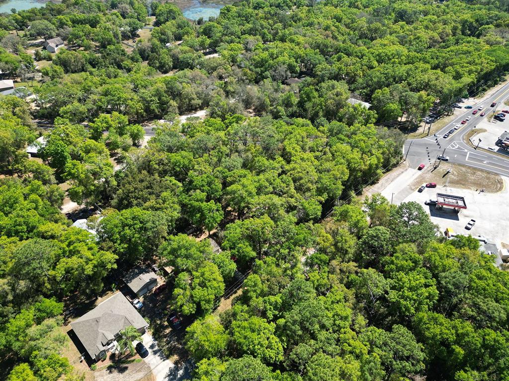 Niles St Mount Sorrento, FL 32776 - Photo 11 of 13 an aerial view of residential house with outdoor space and trees all around