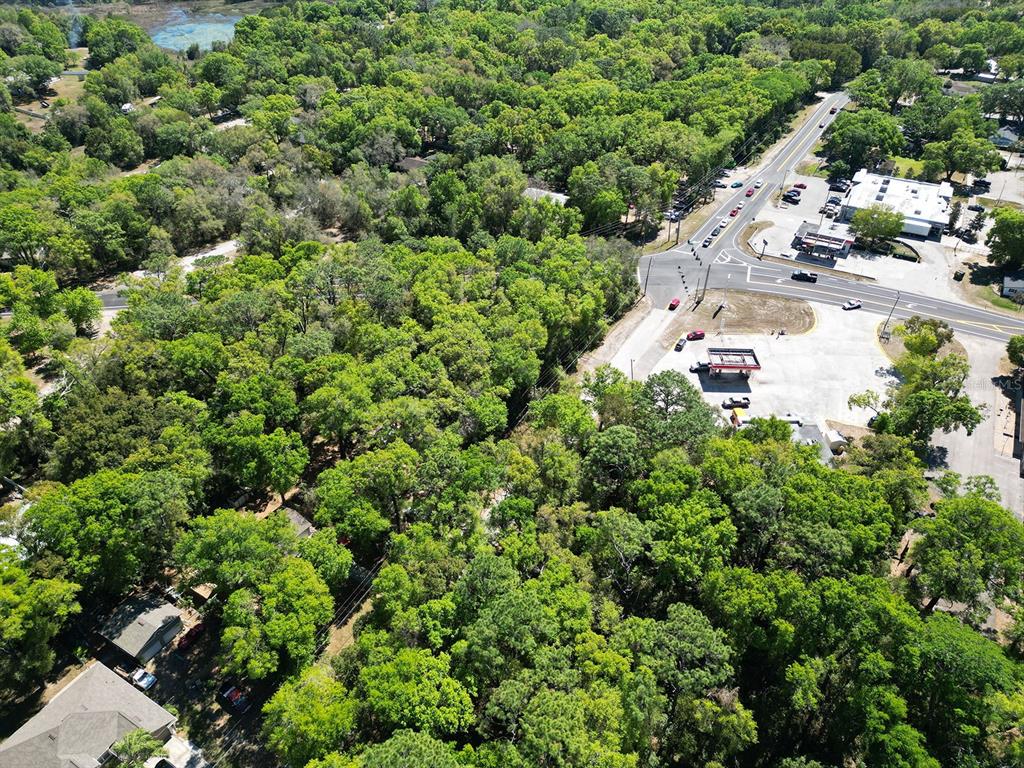 Niles St Mount Sorrento, FL 32776 - Photo 12 of 13 an aerial view of residential house with outdoor space and trees all around