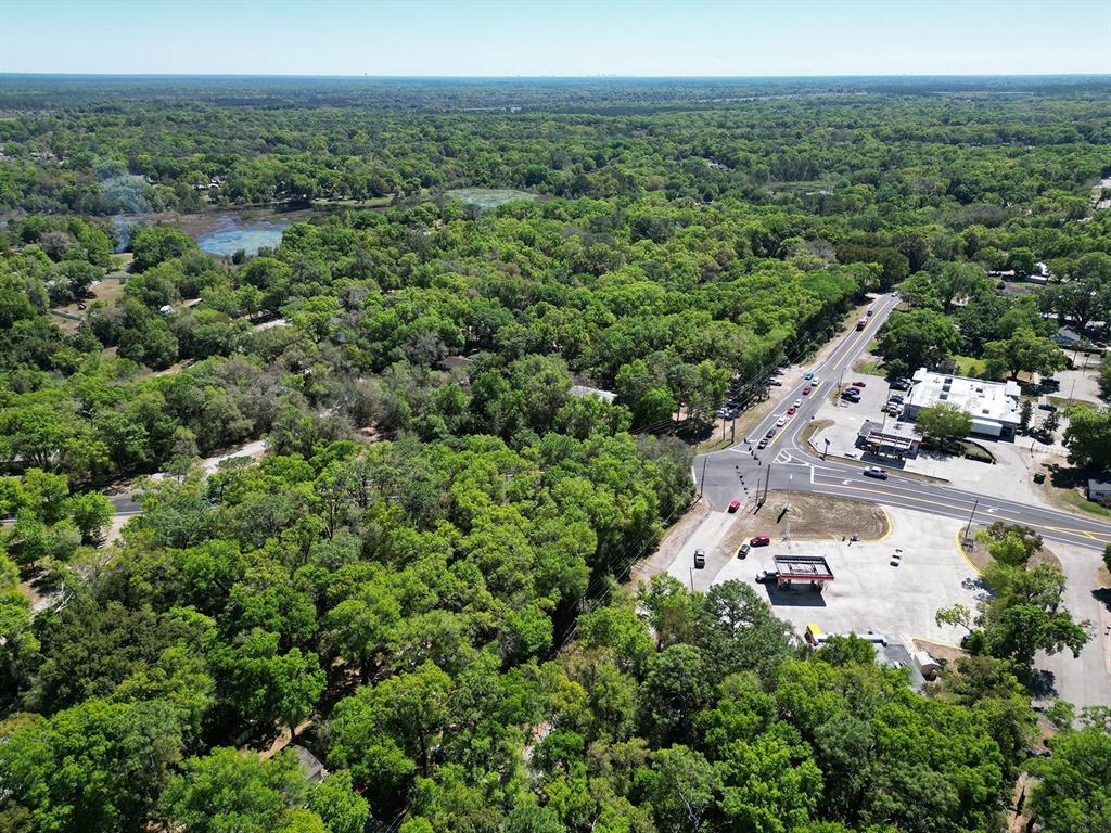 Niles St Mount Sorrento, FL 32776 - Photo 13 of 13 an aerial view of multiple house
