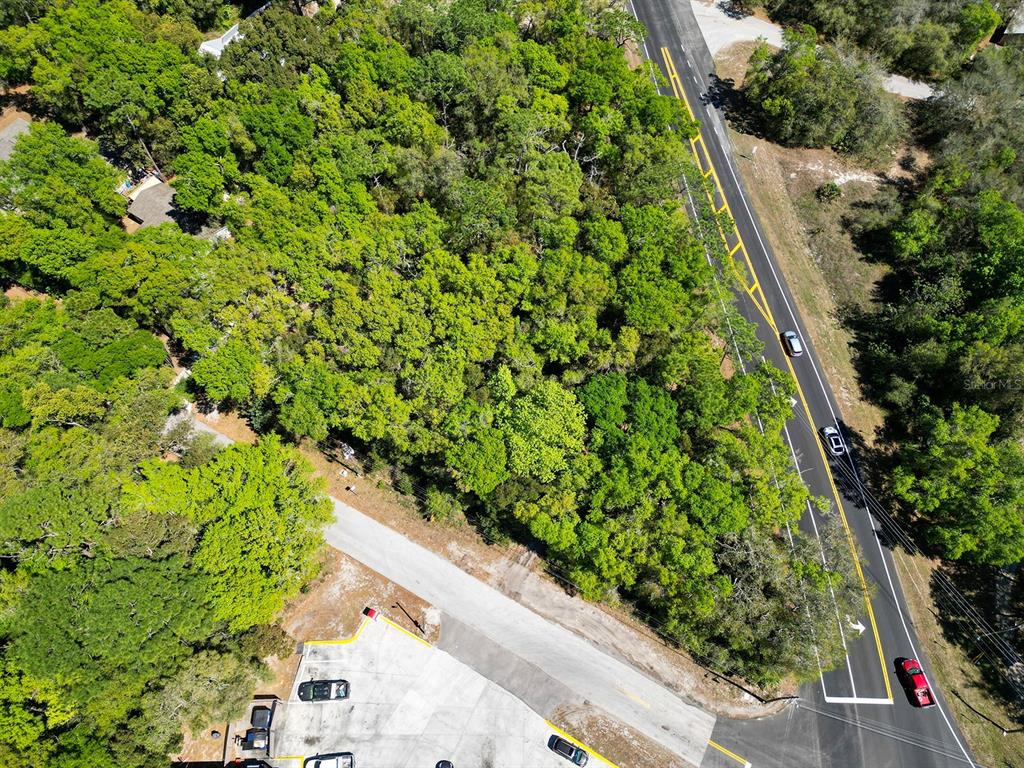 Niles St Mount Sorrento, FL 32776 - Photo 5 of 13 a view of a garden