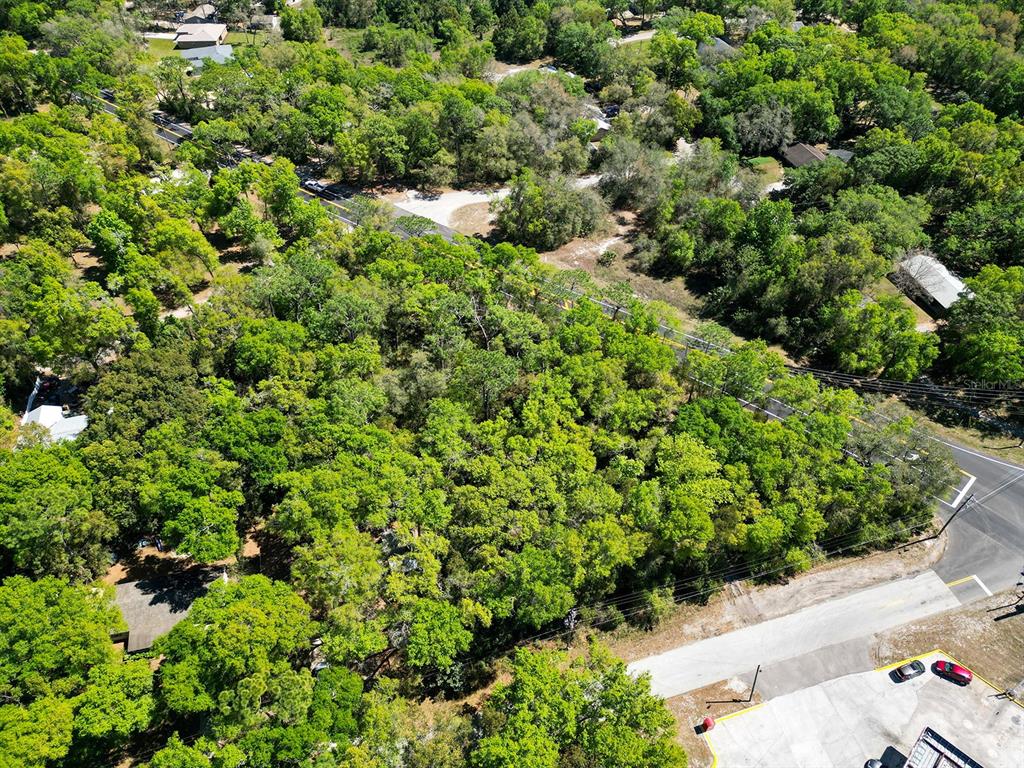 Niles St Mount Sorrento, FL 32776 - Photo 7 of 13 a view of a garden with a tree