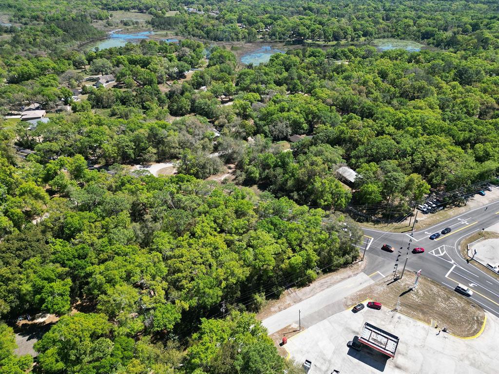 Niles St Mount Sorrento, FL 32776 - Photo 8 of 13 an aerial view of residential houses with outdoor space