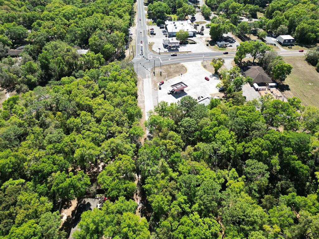 Niles St Mount Sorrento, FL 32776 - Photo 10 of 13 a view of a city view