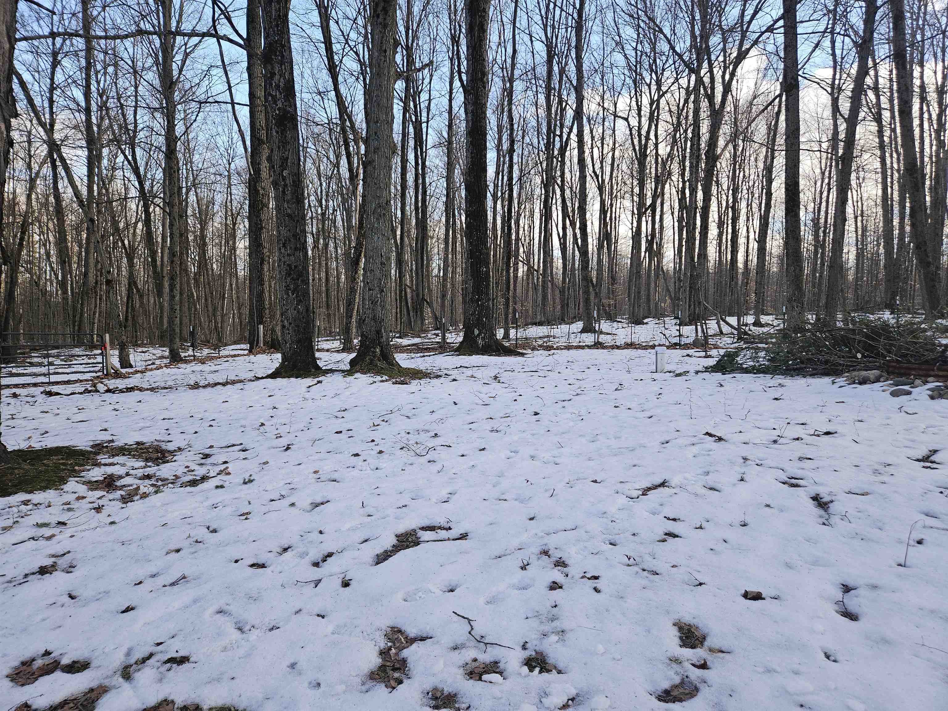 255 West Arnold Lake Road Harrison, MI 48625 - Photo 12 of 27