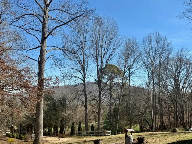a living room with furniture a fireplace and large windows