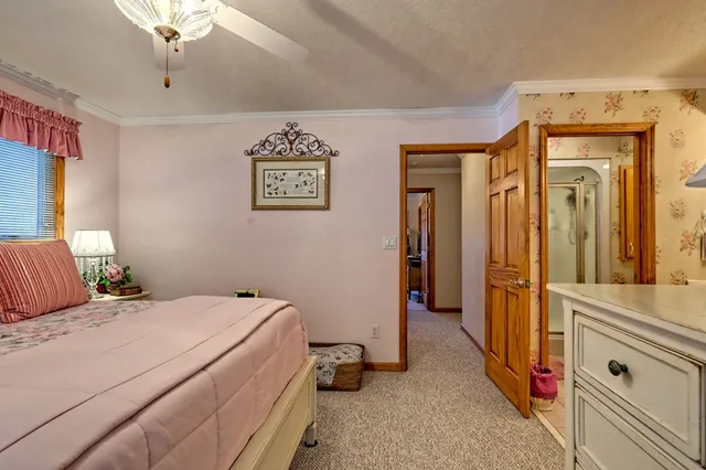 a view of outdoor space and yard