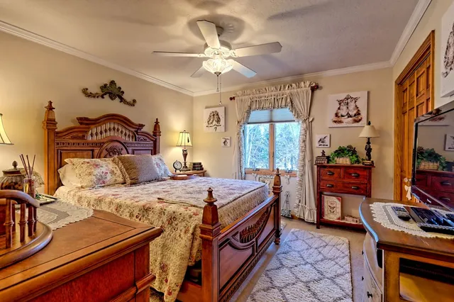 a view of backyard and trees