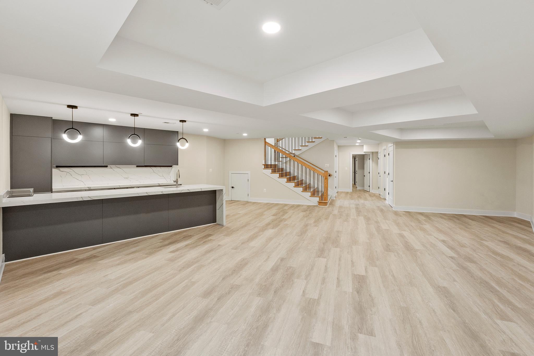 3706 Spring Street Chevy Chase, MD 20815 - Photo 49 of 63 Lower Level Rec Room