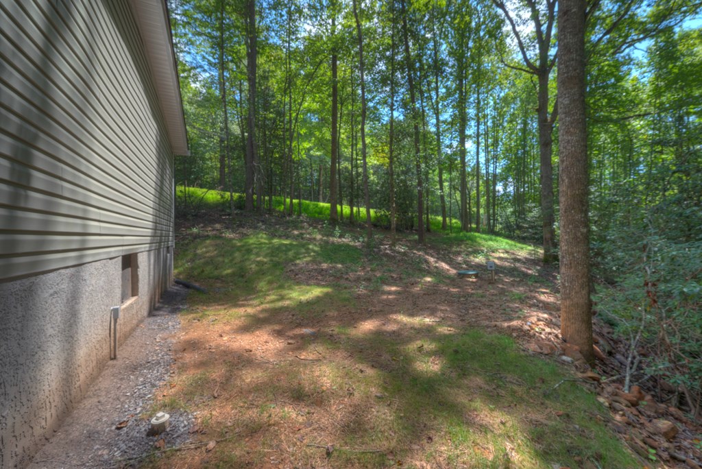 1254 Friendship Church Road Murphy, NC 28906 - Photo 41 of 47
