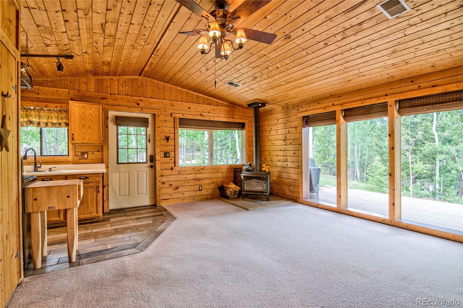 130 Summit Way Bailey, CO 80421 - Photo 6 of 25